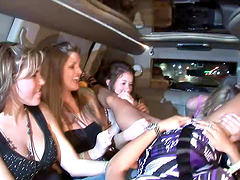 Amateur video of dirty babes flashing tits in the limo. HD video