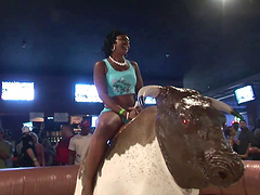 Dazzling college babes with big tits enjoying bull ride in amateur reality shoot