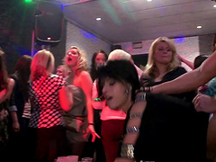 Reality porn video with horny chick having fun with strangers