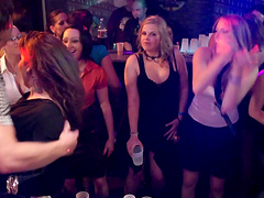 Reality porn video with lovely chicks sucking dicks at the party