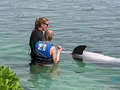 Pretty babe Paris White swimming with a dolphin in the sea