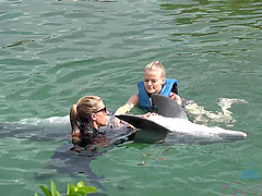 Pretty babe Paris White swimming with a dolphin in the sea