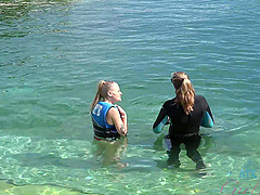 Pretty babe Paris White swimming with a dolphin in the sea