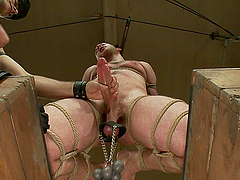 Gay bondage scene with a couple of studs