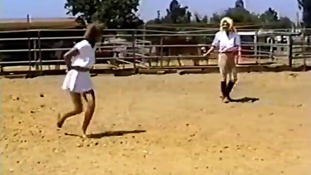 Pony Girlss Traders