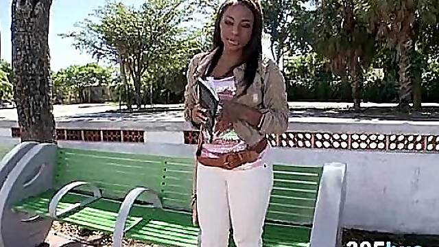 Ebony Amateur bus