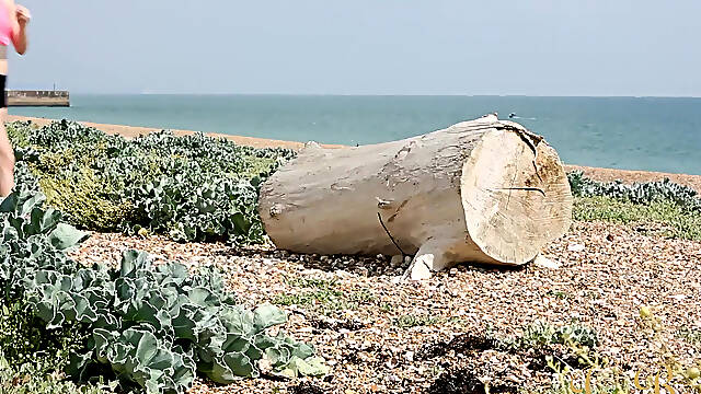 Insatiable Amarna Miller Gets Her Pussy Stuffed Balls Deep